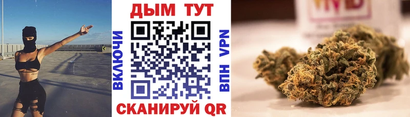 Бошки марихуана Amnesia купить наркоту МЕГА ссылка Харабали